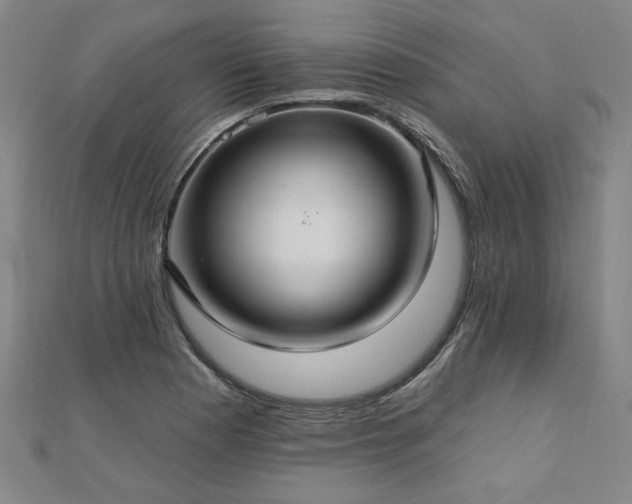 X0000112761177200908271613