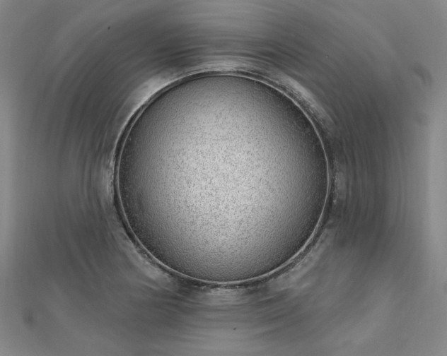 X0000112761178200908271613