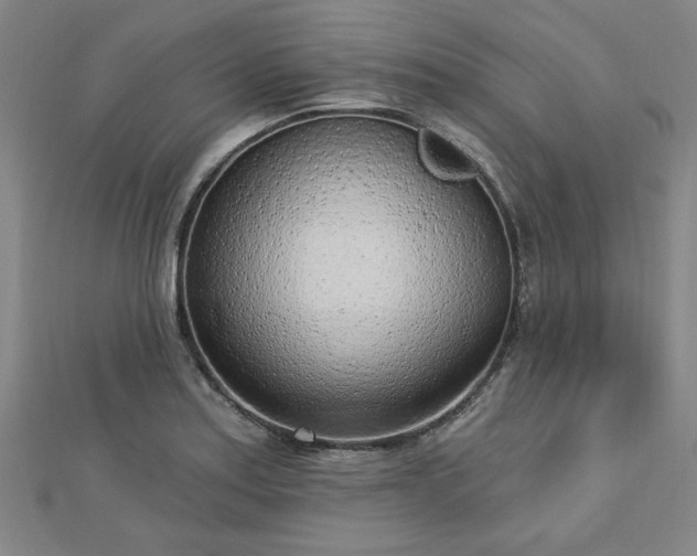 X0000112761179200908271613
