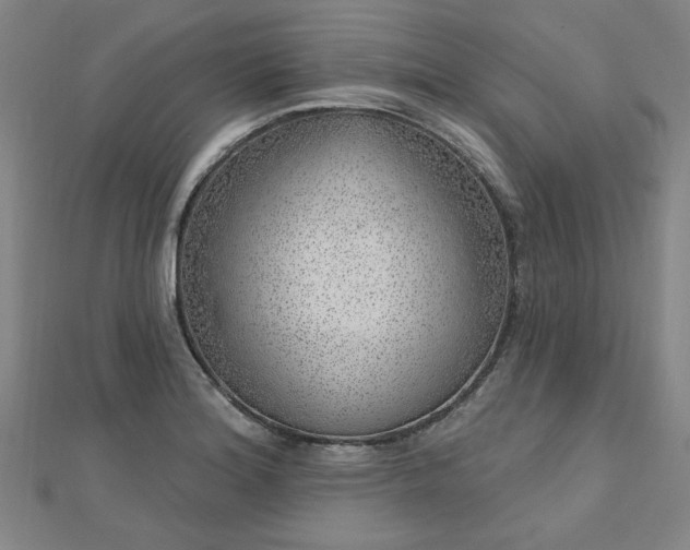 X0000112761180200908271613