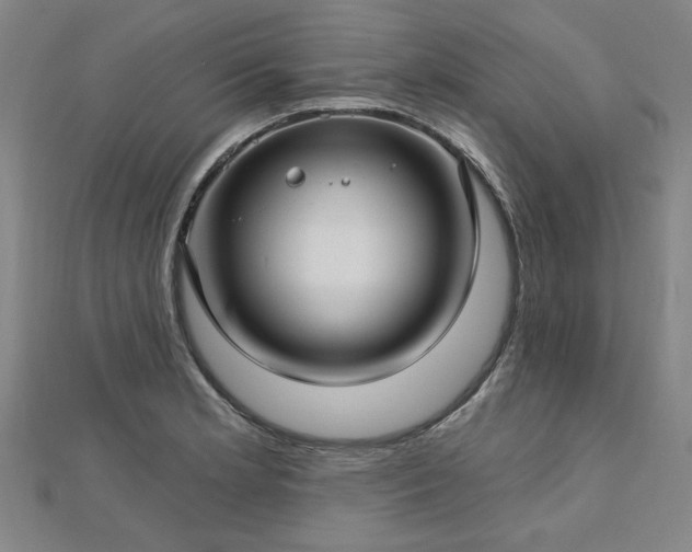 X0000112761181200908271613