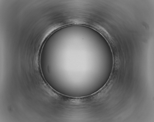 X0000112761182200908271613