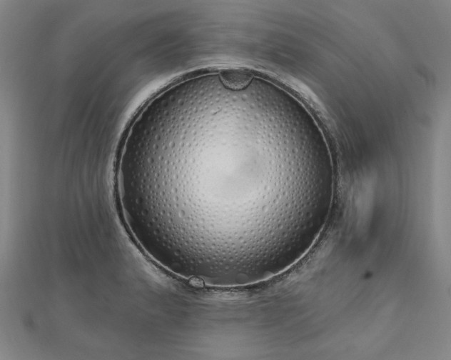 X0000112761183200908271613