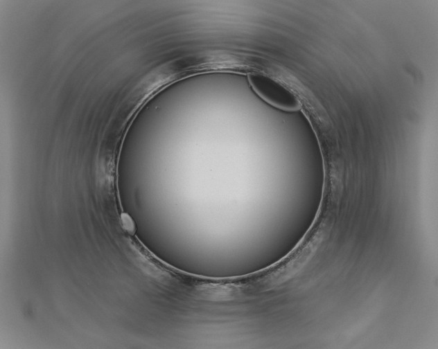 X0000112761185200908271613