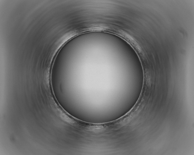 X0000112761186200908271613