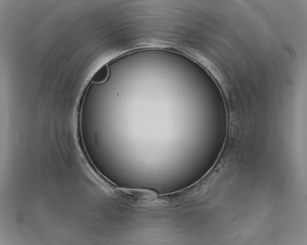 X0000112761187200908271613