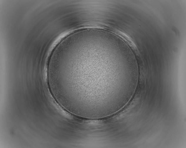 X0000112761188200908271613