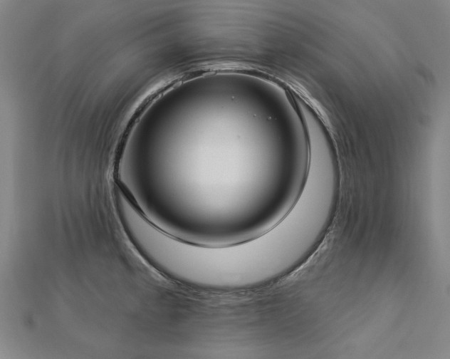 X0000112761189200908271613
