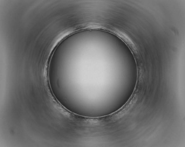 X0000112761190200908271613