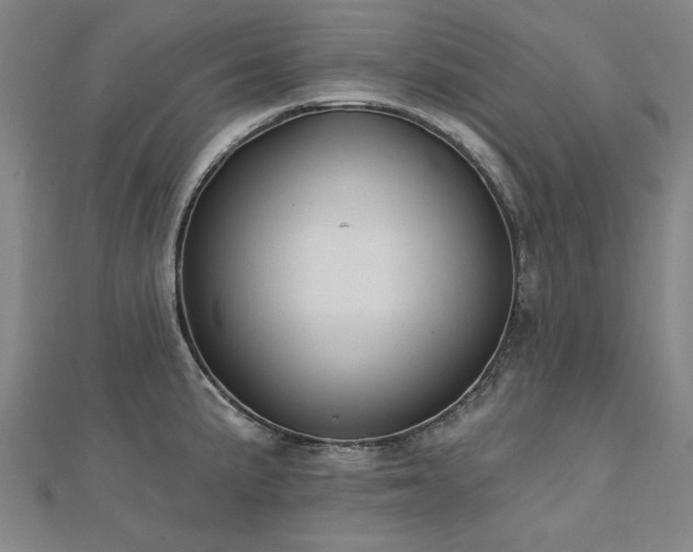 X0000112761191200908271613