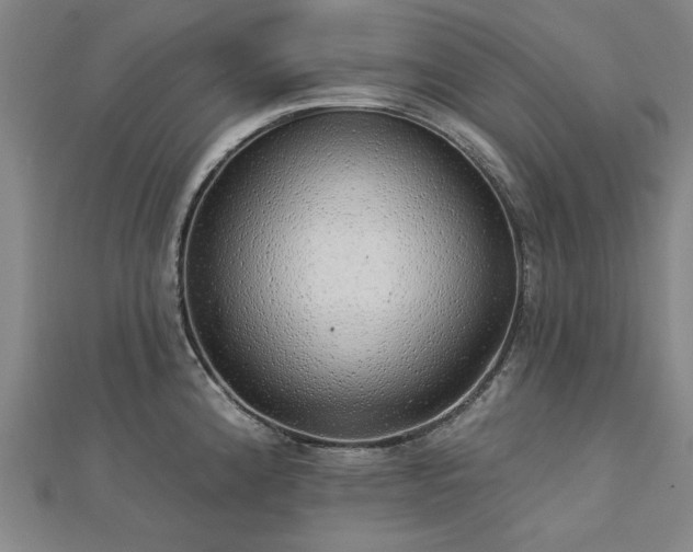 X0000112761192200908271613