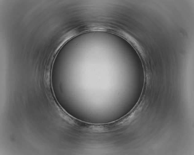 X0000112761194200908271613