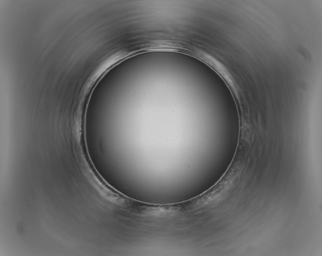 X0000112761195200908271613