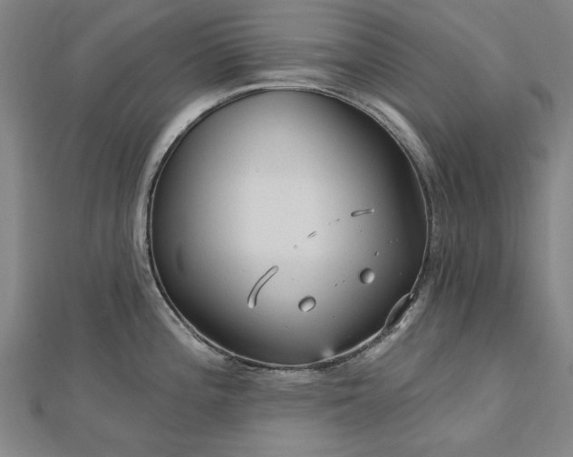 X0000112761196200908271613