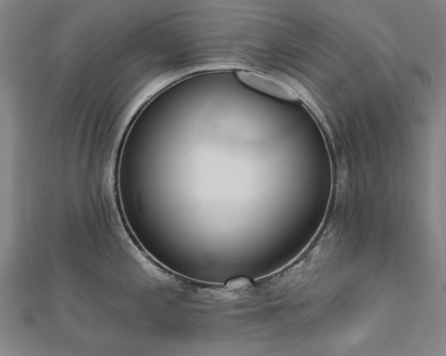 X0000112761197200908271613