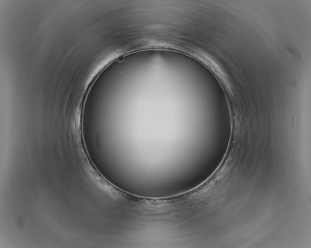 X0000112761198200908271613