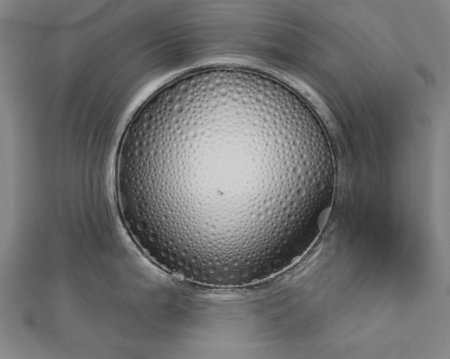 X0000112761199200908271613