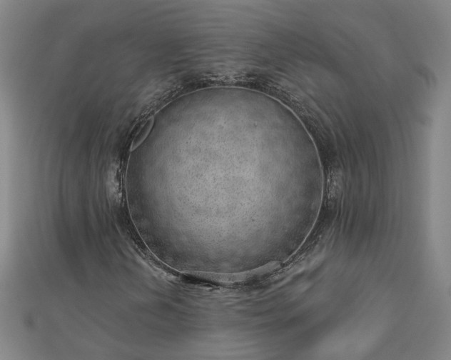 X0000112761202200908271612