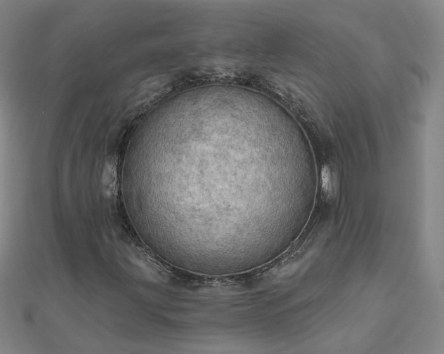 X0000112761203200908271612