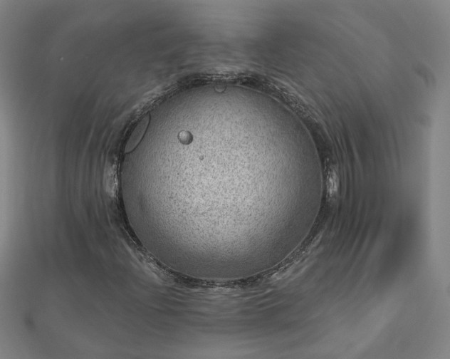 X0000112761204200908271612