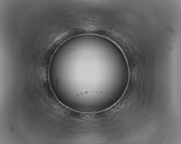 X0000112761205200908271612