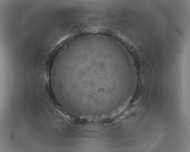 X0000112761206200908271612