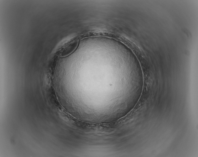 X0000112761207200908271612