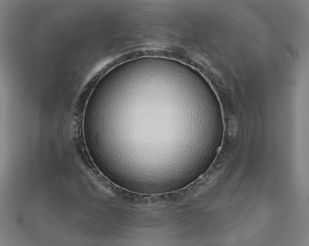 X0000112761208200908271612