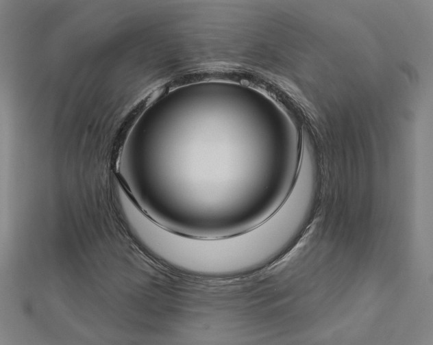 X0000112761209200908271612