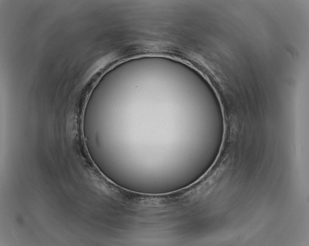 X0000112761211200908271612
