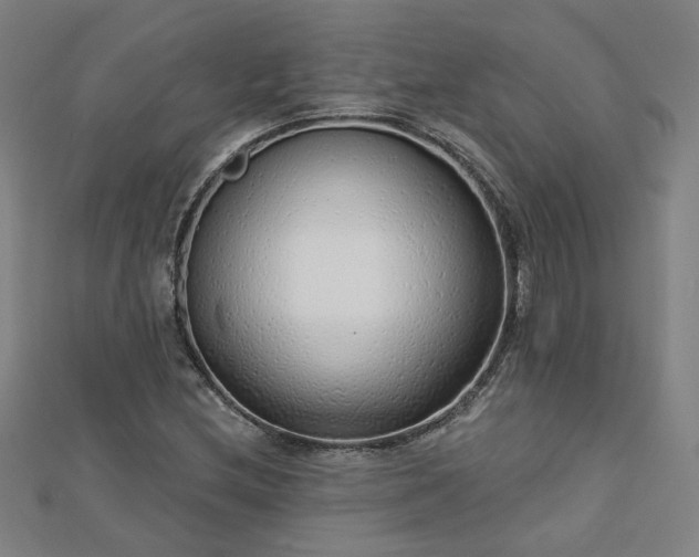 X0000112761212200908271612