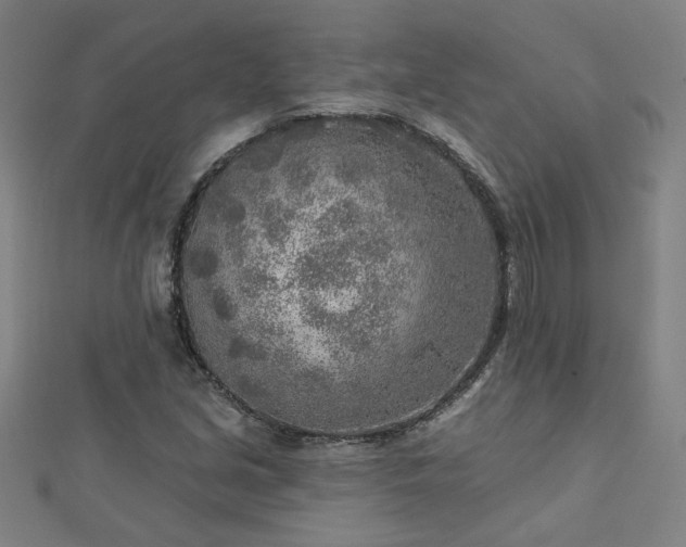 X0000112761213200908271612