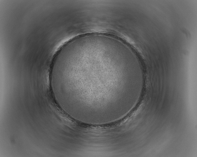 X0000112761214200908271612