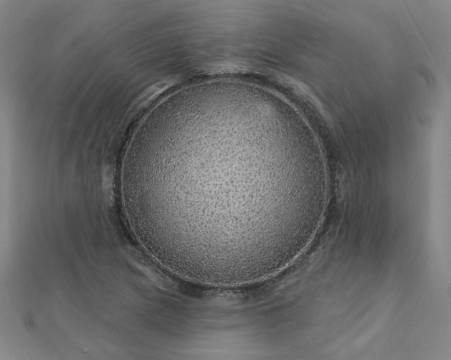 X0000112761217200908271612