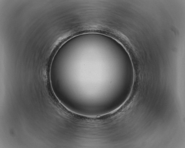 X0000112761218200908271612