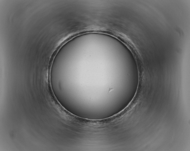 X0000112761220200908271612