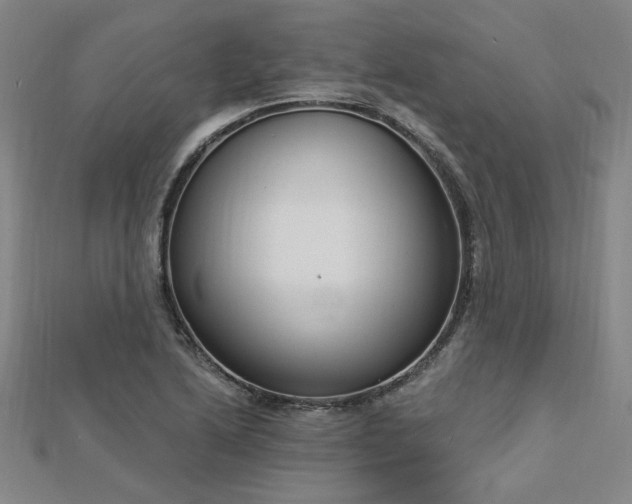 X0000112761222200908271612
