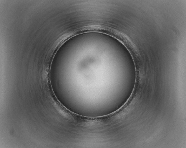 X0000112761225200908271612