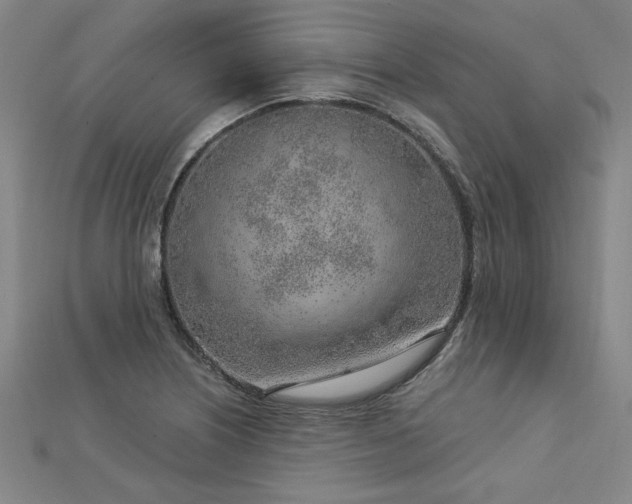 X0000112761226200908271612