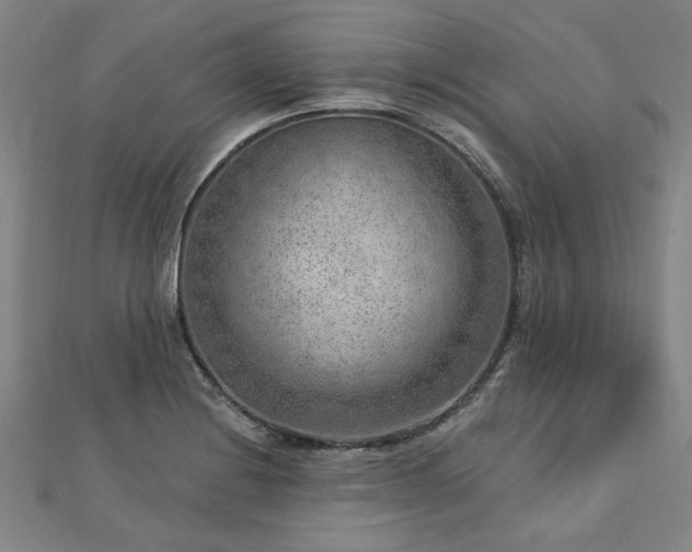 X0000112761228200908271612