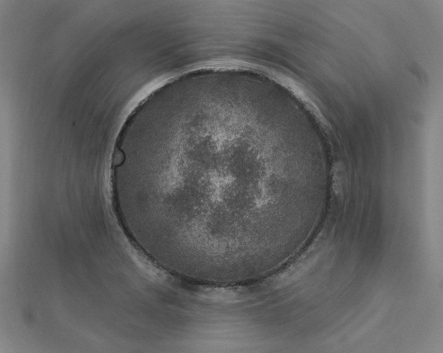 X0000112761229200908271612