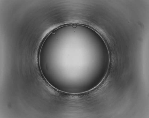 X0000112761230200908271612