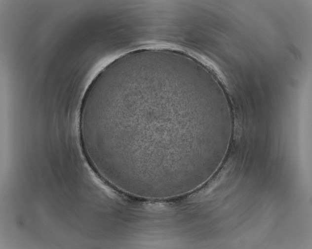 X0000112761231200908271612