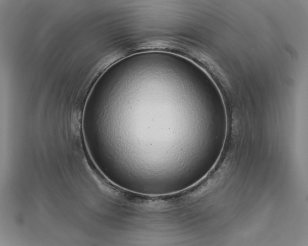 X0000112761233200908271612