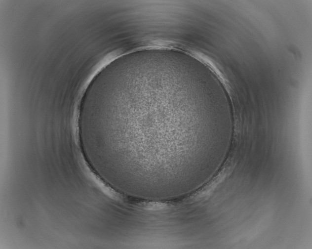 X0000112761235200908271613