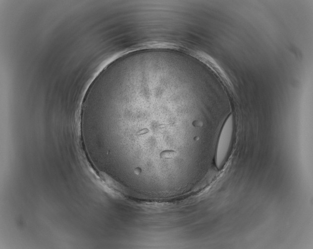 X0000112761236200908271613