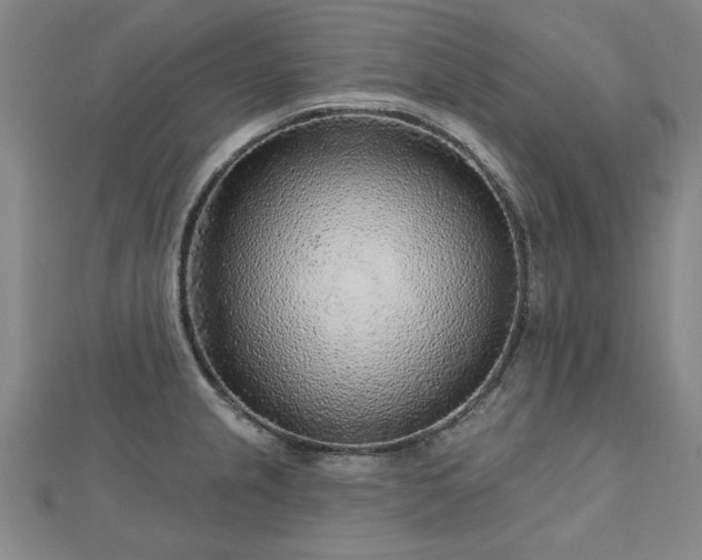 X0000112761237200908271613