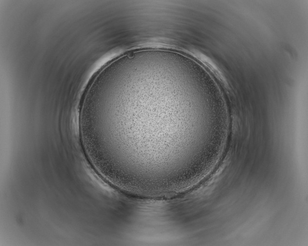 X0000112761238200908271613