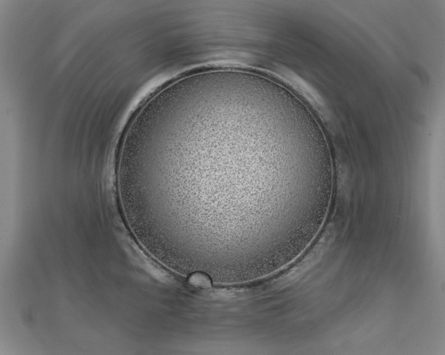 X0000112761240200908271613