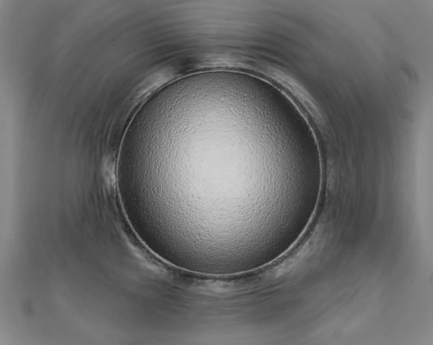 X0000112761241200908271613